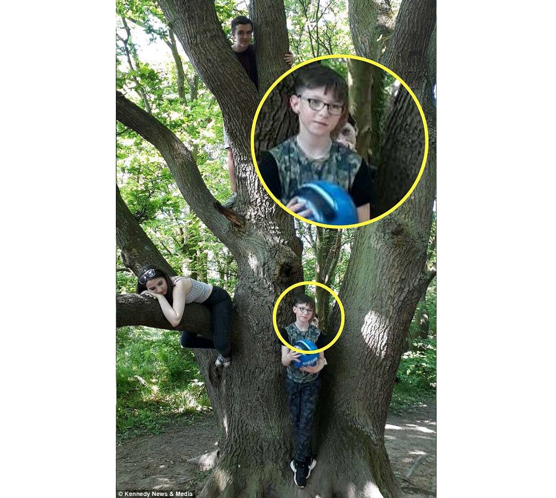 Видел на голову лучше. Снимок призрак на дереве. Призраки детей на дереве.